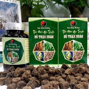 đại bổ thận hoàn