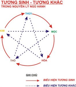 vòng ngũ hành tương sinh
