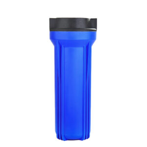 Cốc 10Inh xanh ren 21